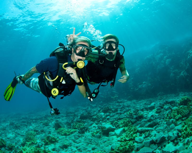 Guided Beginner Scuba Dive in West Palm Beach
