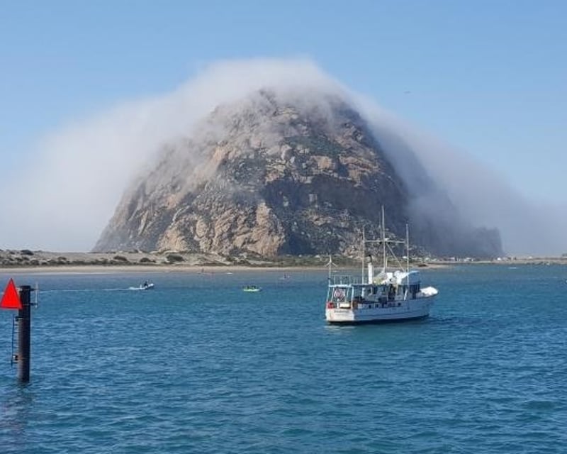 Morro Bay Harbor Cruise with Optional Clam Chowder Lunch