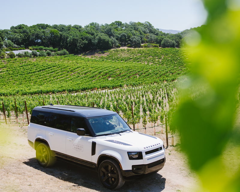 Private Sonoma & Napa Wine Tour with Small Producers