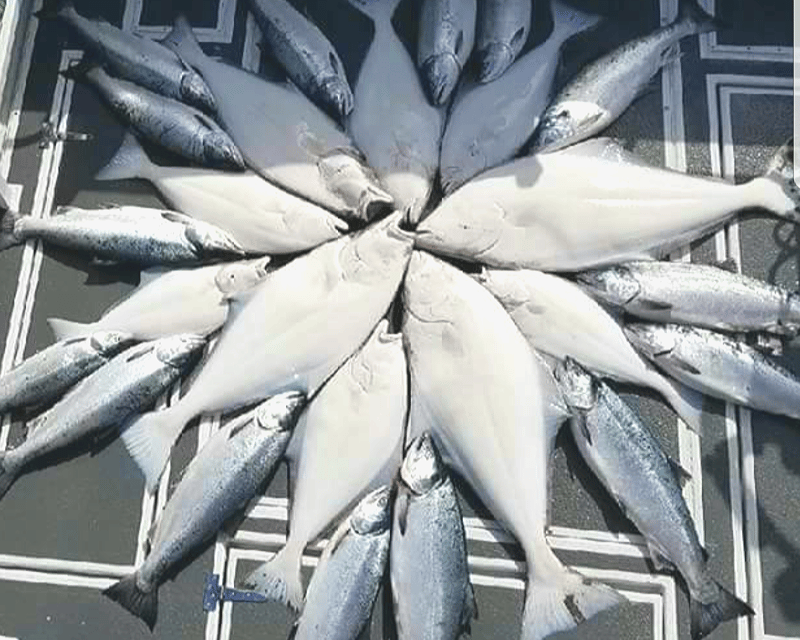 Fish a Homer Halibut Combo Guided Charter