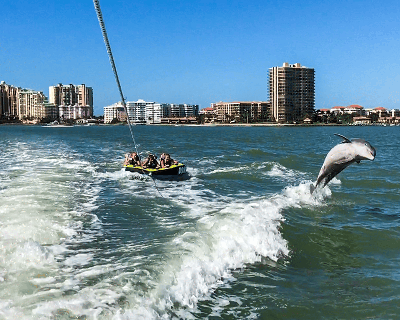 Private Dolphin Watching & Tubing Tour
