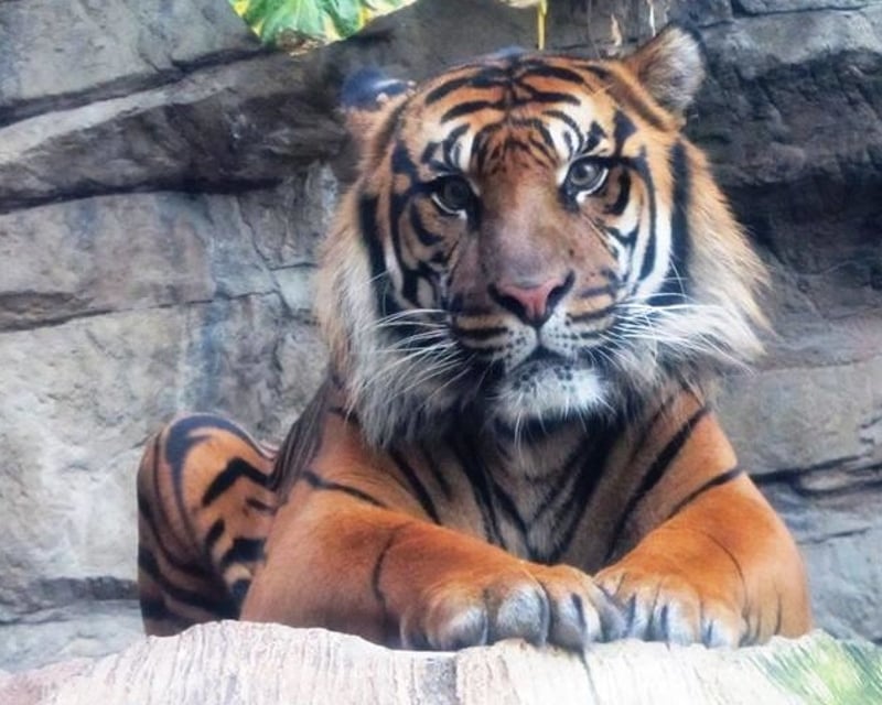 Zoologist for a Day Workshop in Denver