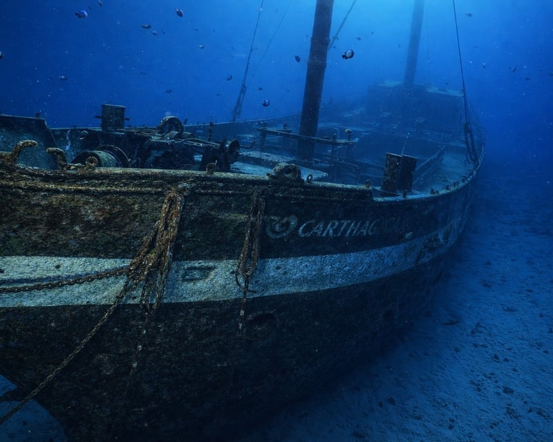 Carthaginian Shipwreck & Reef Scuba Dive in Lahaina