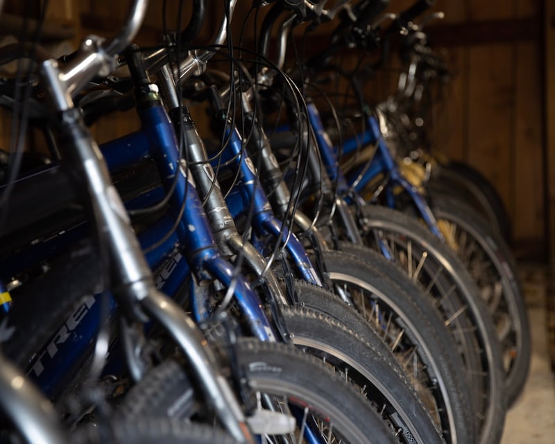 PA Grand Canyon Full-Day Bike Rental