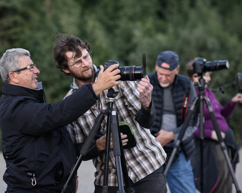 3-Hour Denali Landscape Photography Tour