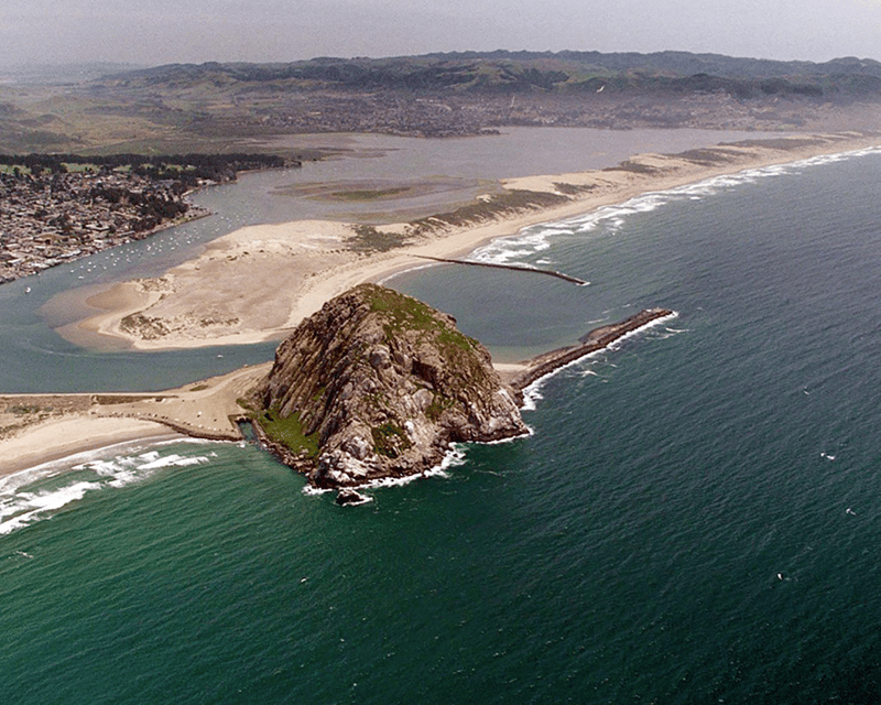 Guided Kayak Tour of Morro Bay Estuary & Sand Spit