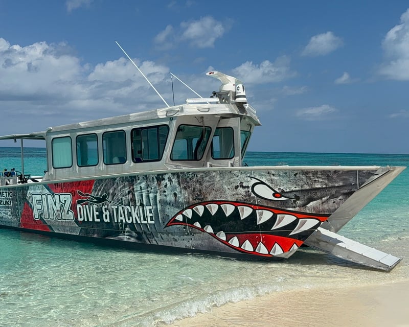Private 10-Hour Dry Tortugas Snorkel & Dive Charter