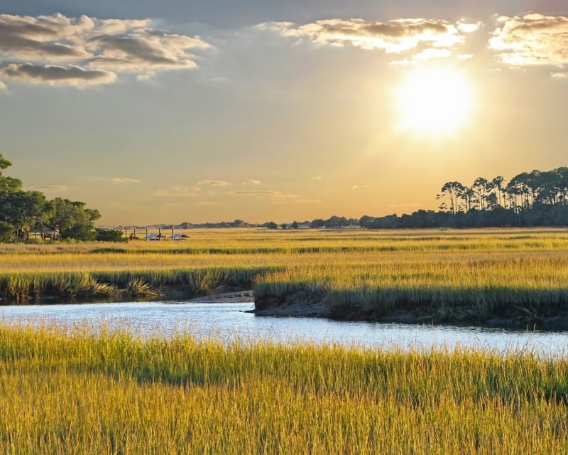 Kiawah River Wildlife Paddleboard Tour