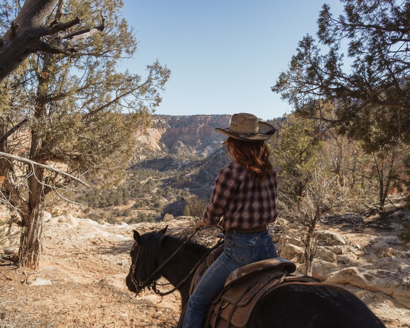 2-Hour Horseback Ride in Mt Carmel