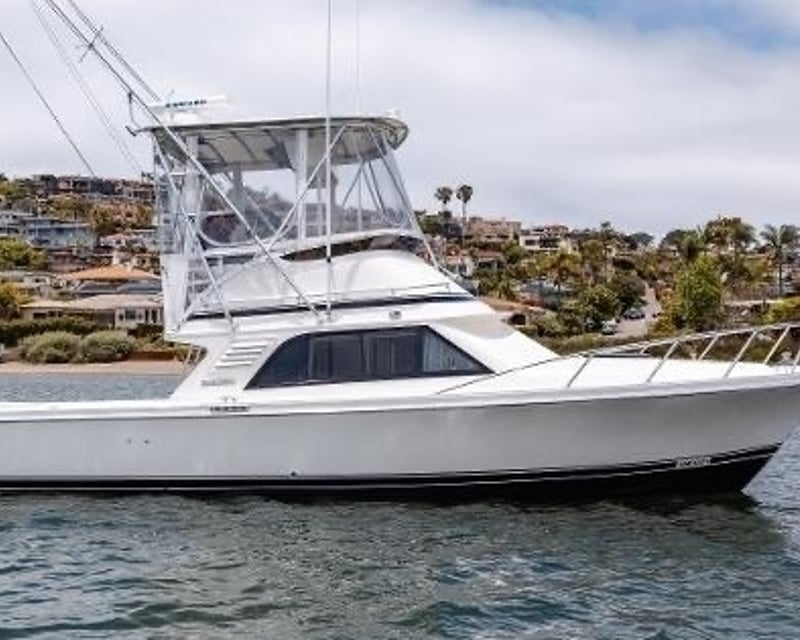 Fishing Charter on a 33' Blackfin in Cabo San Lucas