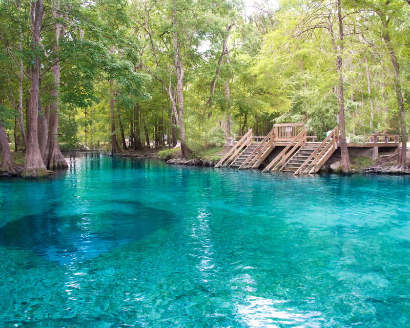 Ginnie Springs Clear Kayak Tour to Devil's Ear Spring