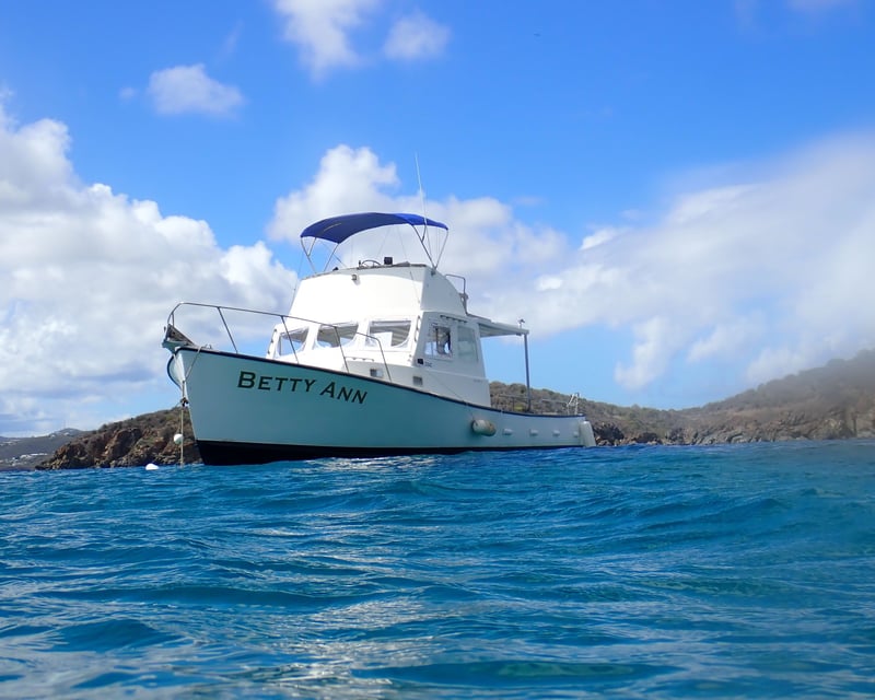Afternoon Sea Turtle Snorkel Cruise From St. Thomas