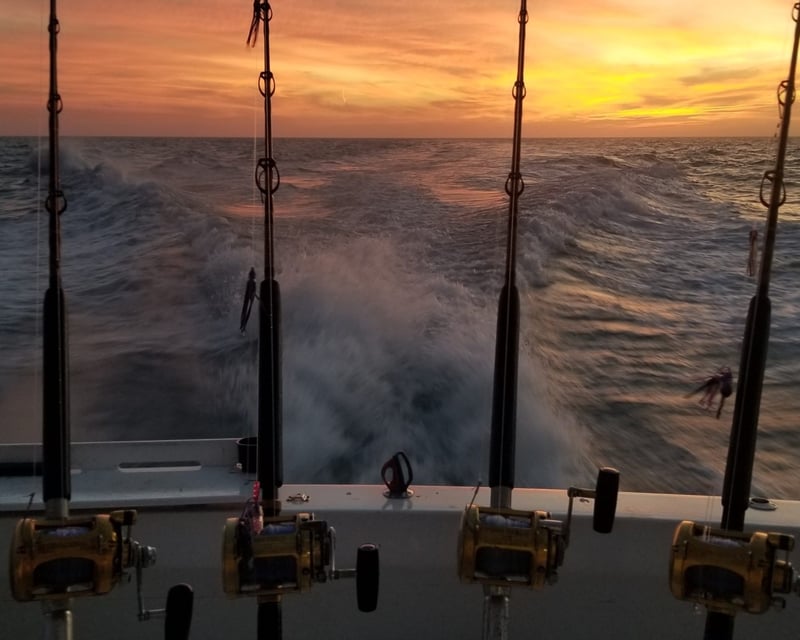 Private Fishing Charter in Key West