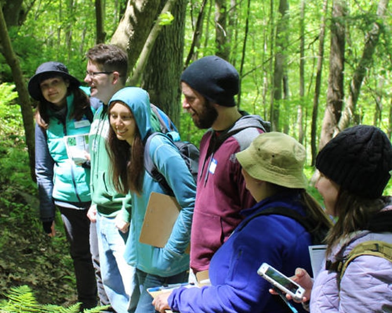 Edible & Medicinal Plant Ecotour in Rockbridge