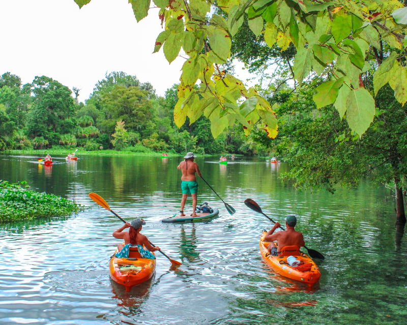 Wekiwa Springs Self-Guided Paddleboard Rental