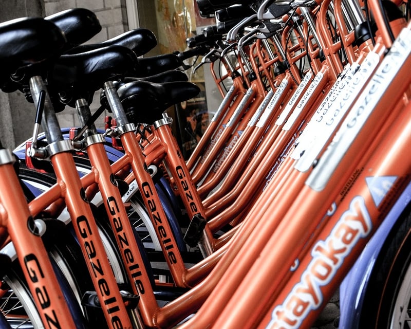 8-Hour Bike Rental in Traverse City