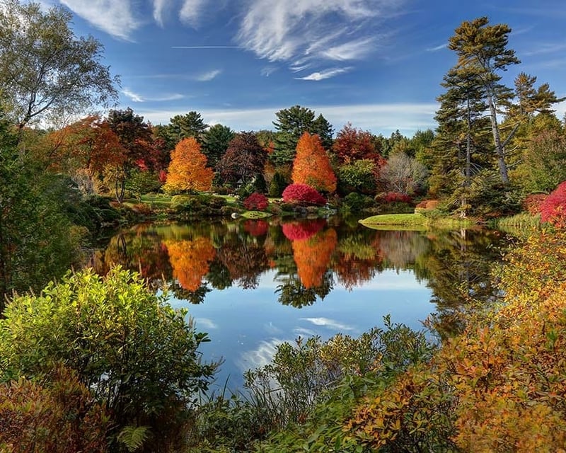 Guided 3-Hour Tour of Acadia National Park & Bar Harbor