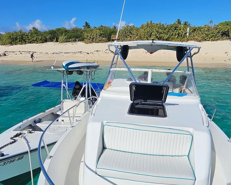 4-Hour Icacos or Palomino Island Charter