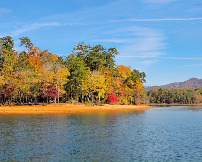 Private Fall Foliage Tritoon Cruise on Lake Chatuge