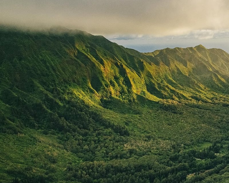 Full-Day Oʻahu Circle Island Tour from North Shore