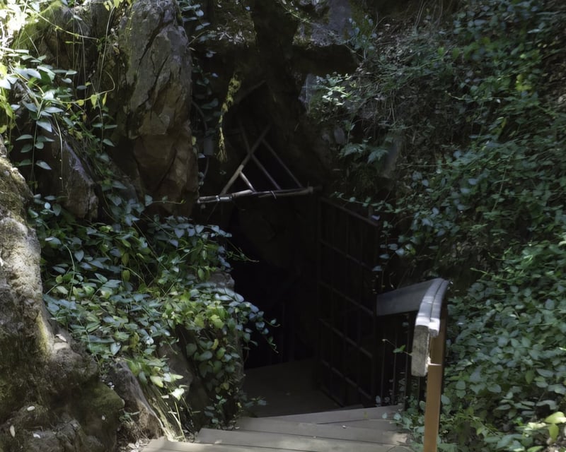 Naturalist-Guided Cave Tour at Black Chasm Cavern