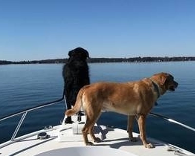 19' Center Console Boat Rental in Clayton, NY