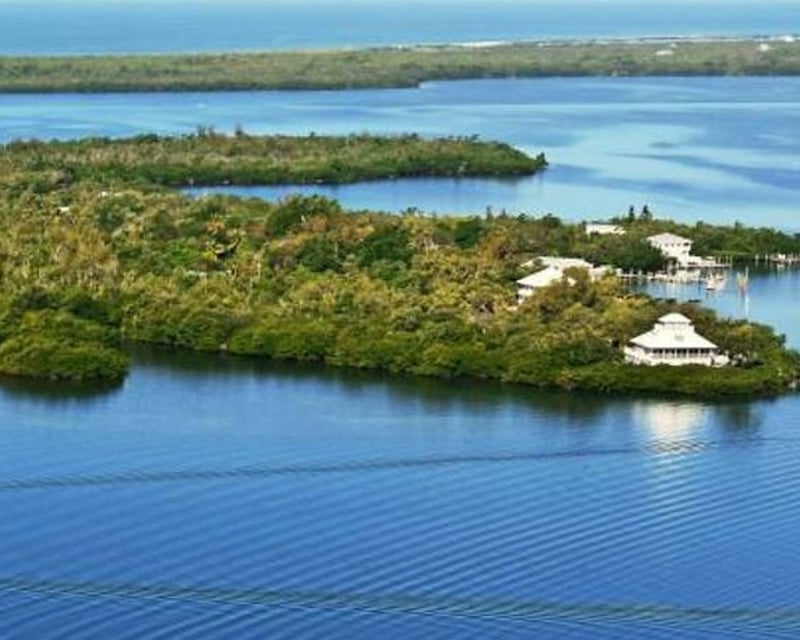 Cabbage Key Boat Charter