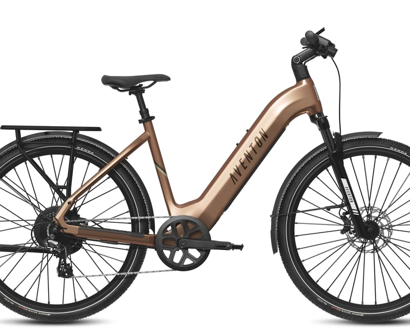 Explore Key West on a Step-Through E-Bike Rental