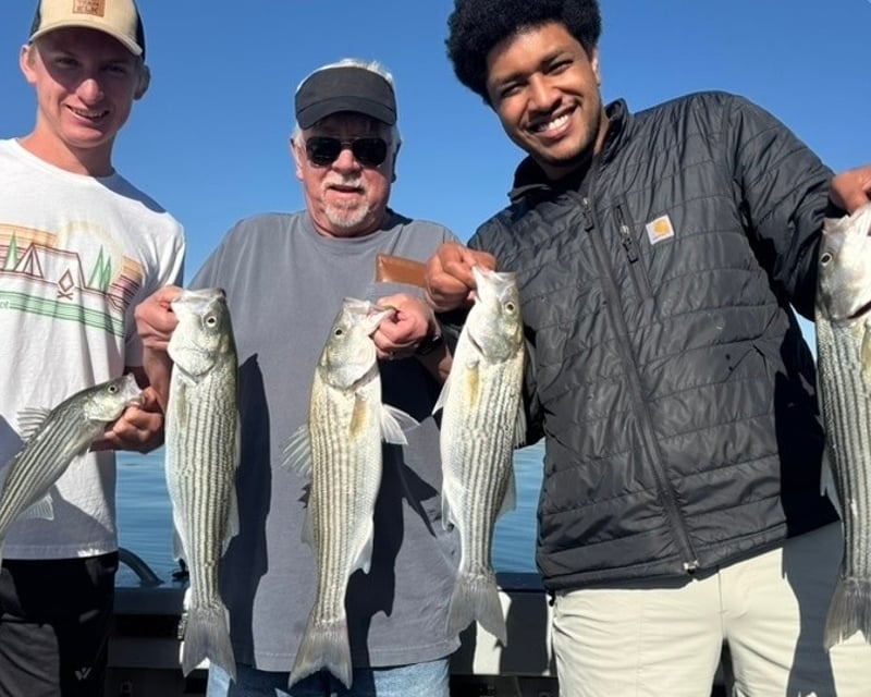 Private Striped Bass Fishing Charter on Lake Havasu