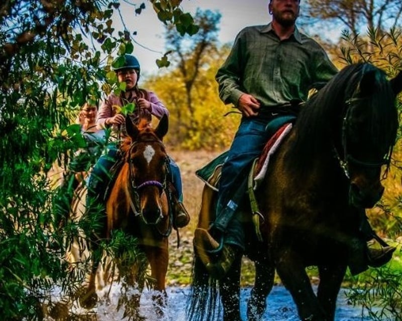 1-Hour Santa Ynez River Horseback Trail Ride