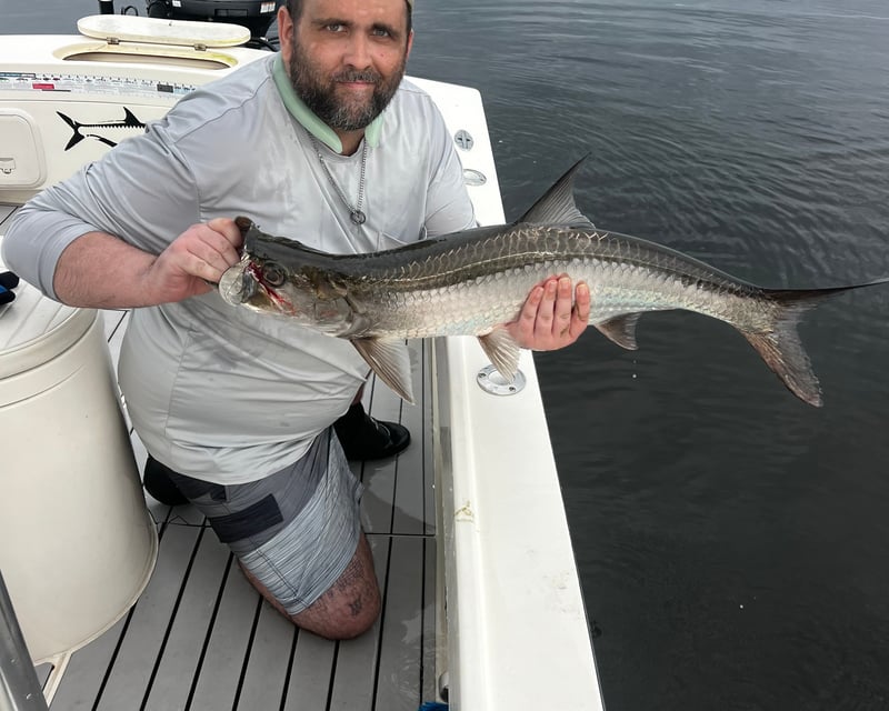 Private Inshore Fishing Charter in Tampa Bay