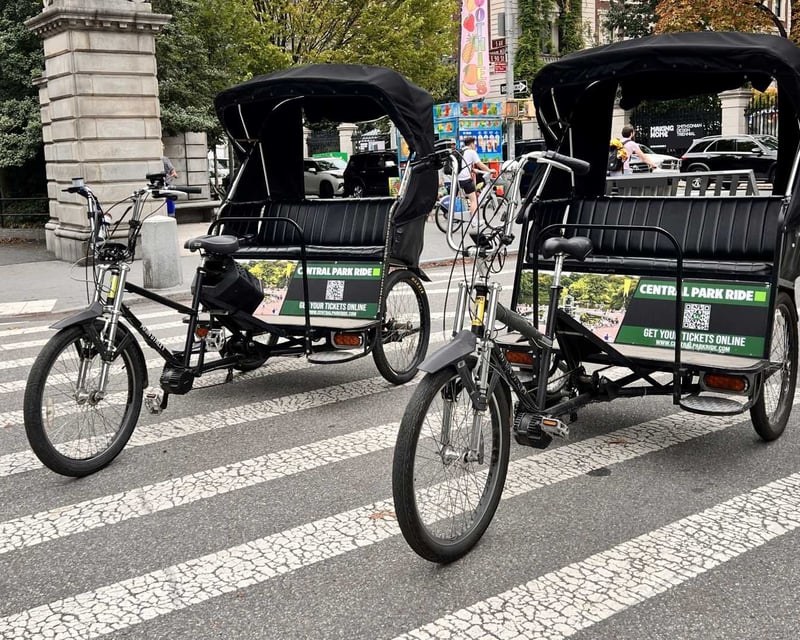 30-Minute Central Park Pedicab Tour