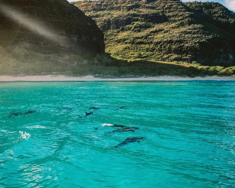 Private Snorkel & Sightseeing Boat Tour in Kekaha