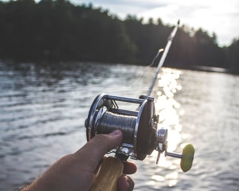 Mobile Fishing Charter 4-Hour