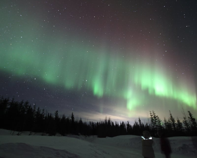 Self-Drive Northern Lights Viewing Lodge Near Fairbanks