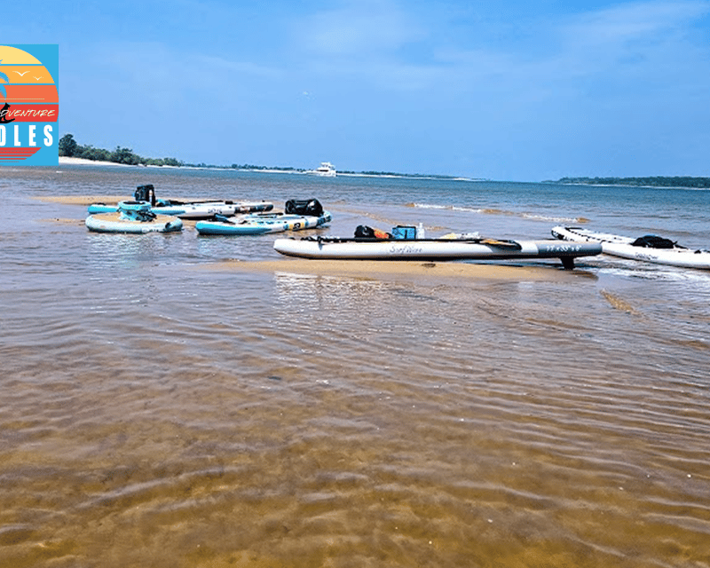Guided Treasure Island Paddle on Lake Texoma