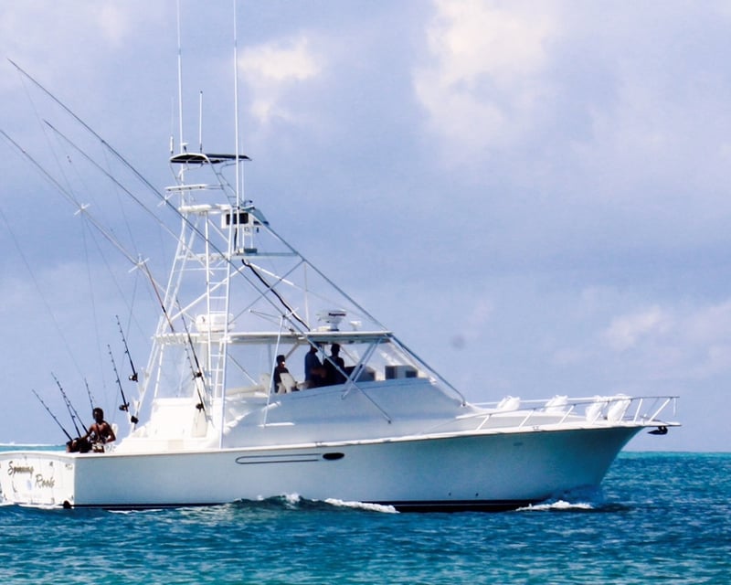 4-Hour Deep Sea Fishing Charter in Providenciales