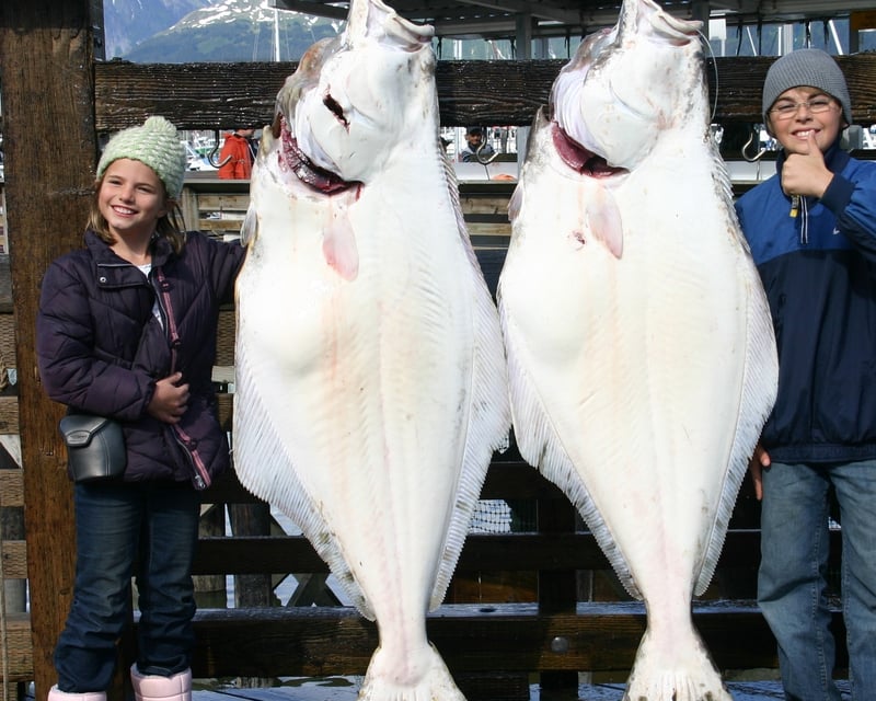 Full-Day Halibut Fishing Charter in Seward