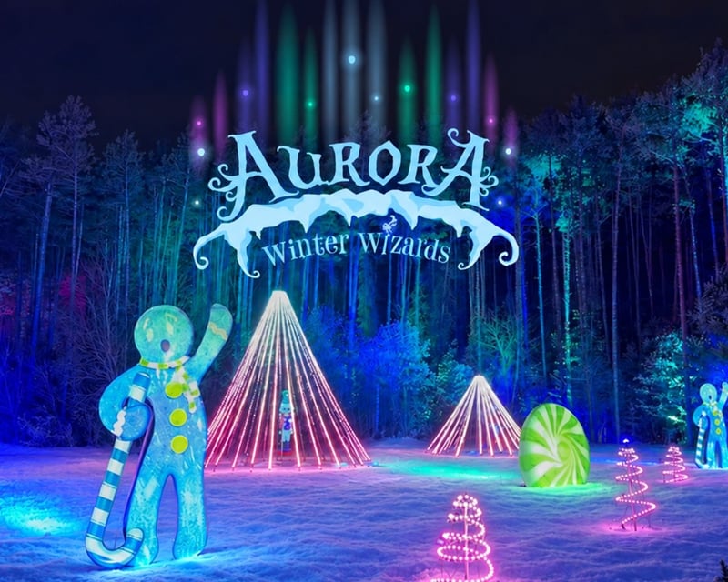 Winter Wizards Holiday Light Walk in Commerce Township
