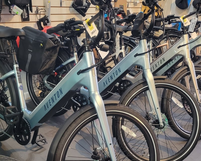 Step-Thru E-Bike Rental on the Legacy Trail in Venice