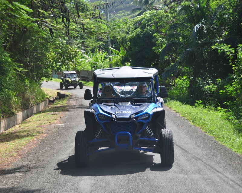 Soufrière Buggy Tour Through Drive-In Volcano