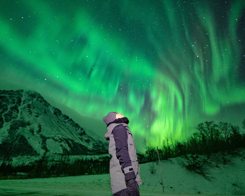 Fairbanks Northern Lights Tour with Aurora Portraits
