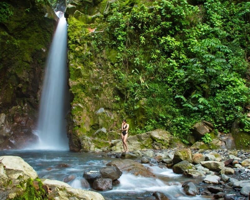 Sensoria Rainforest Hike & Hot Springs from Playa del Coco