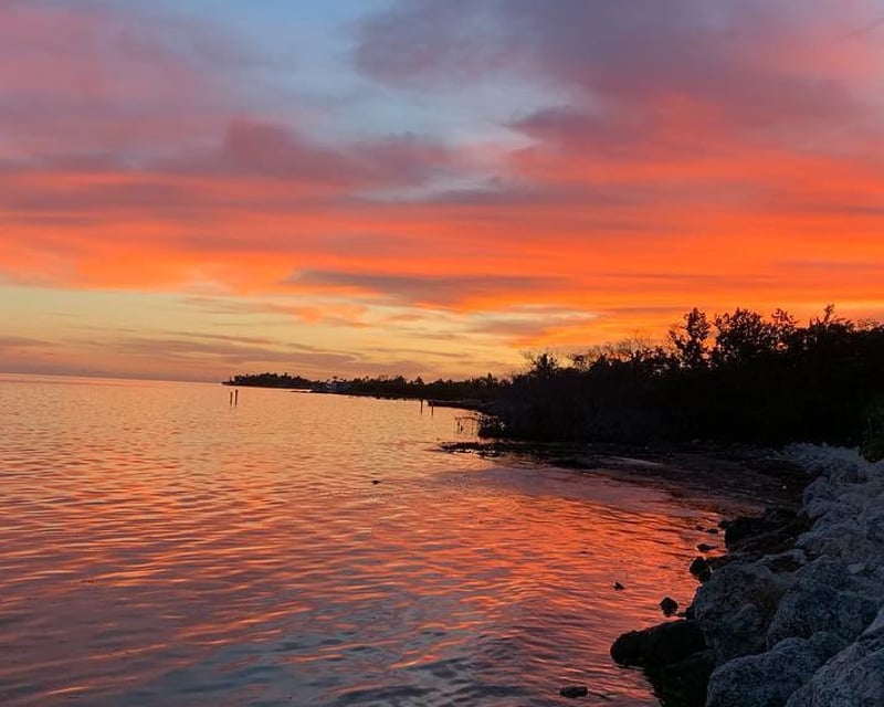 Private Sightseeing Cruise in Islamorada