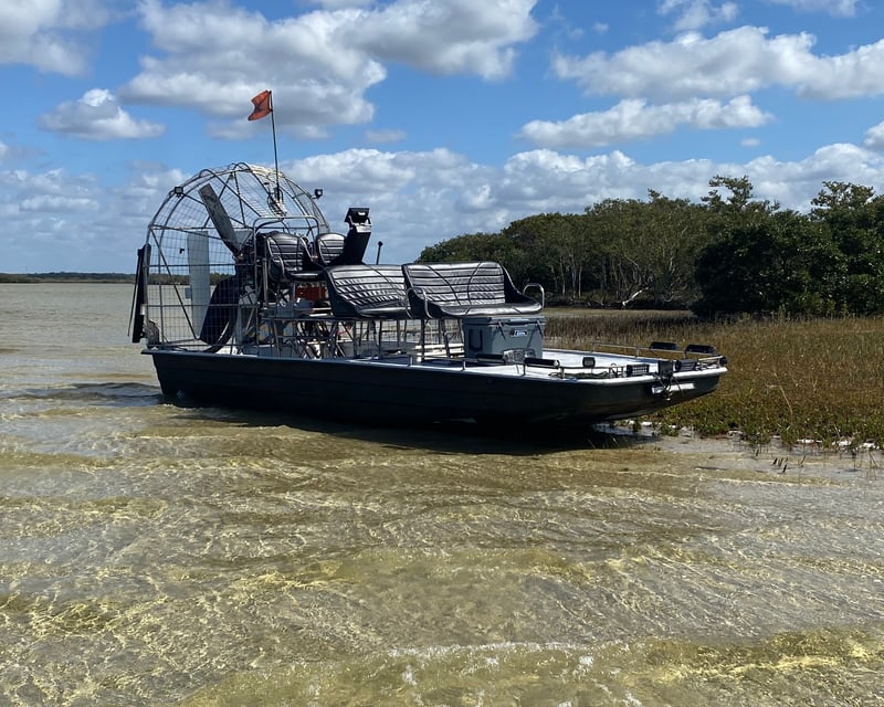 Wildlife Airboat Tour in Weeki Wachee