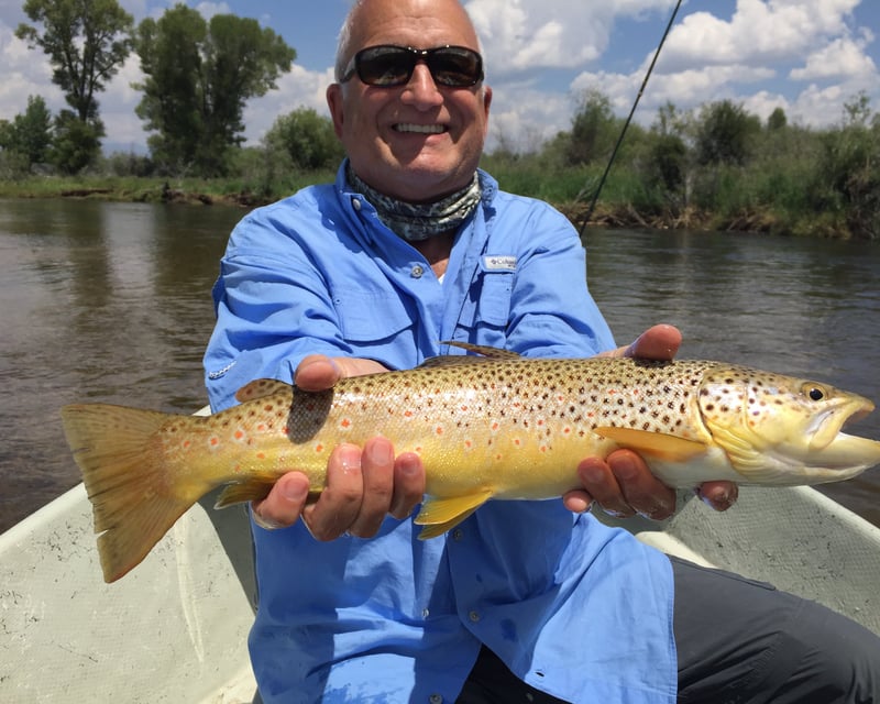 Full-Day Green River Fly Fishing Float from Jackson