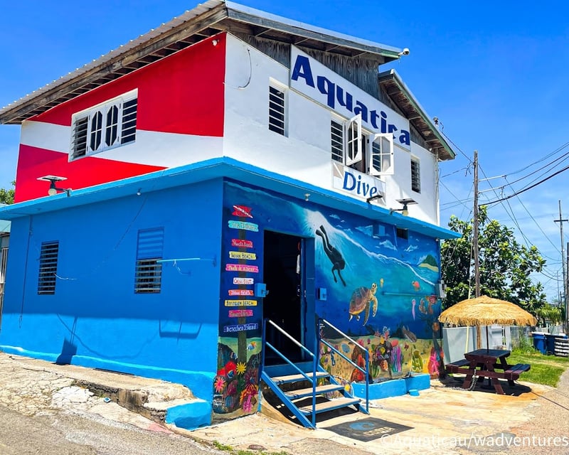 Scuba Refresher Course & 2 Guided Dives in Aguadilla
