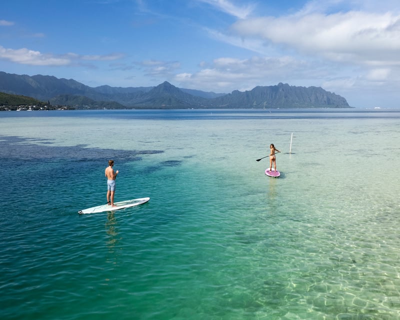 Snorkel & Splash Kāne‘ohe Bay Sandbar Cruise