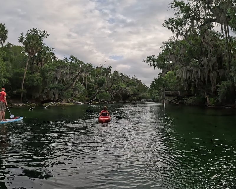 Manatee Kayak Tour & Spring Swim in Blue Springs State Park