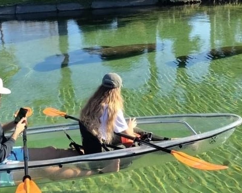 Clear Kayak Manatee Tour with Expert Guide